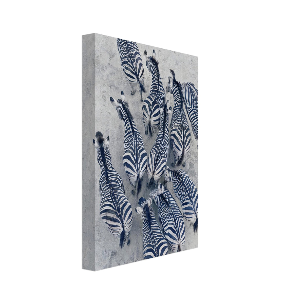 Zebra Herd Aerial Art Print – Canvas