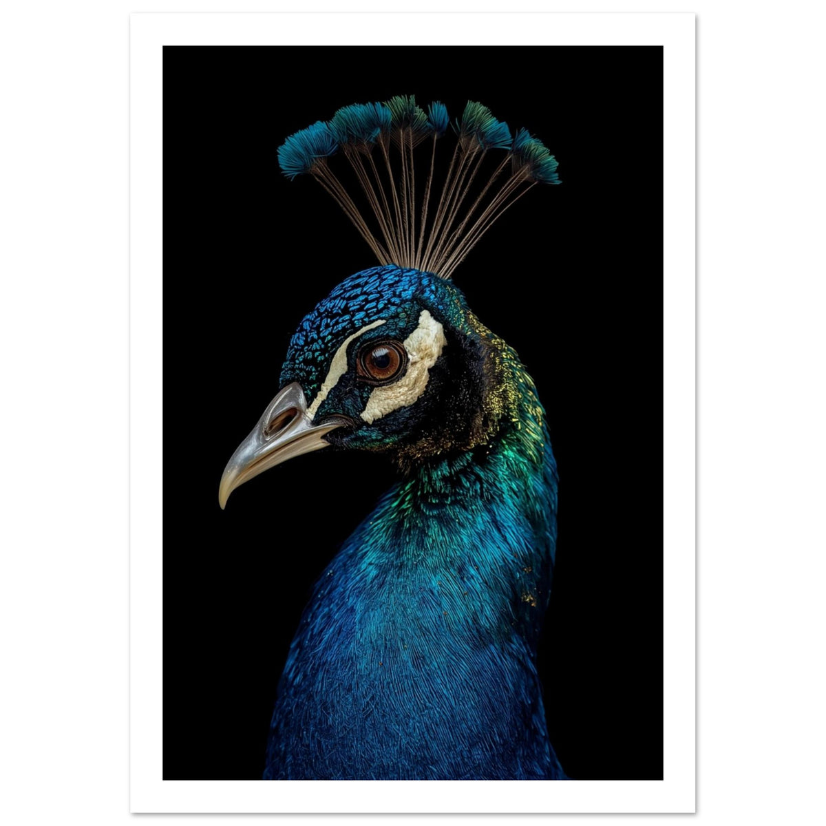 Quiet Bird Art Print – White Border