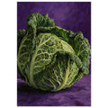 Green cabbage with crinkled leaves and pale veins, painted against a textured purple background and surface.