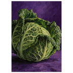 Green cabbage with crinkled leaves and pale veins, painted against a textured purple background and surface.