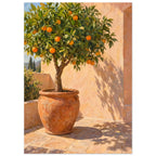 Orange tree in a terracotta pot on sunlit courtyard paving, with leafy shadows cast across a peach wall.