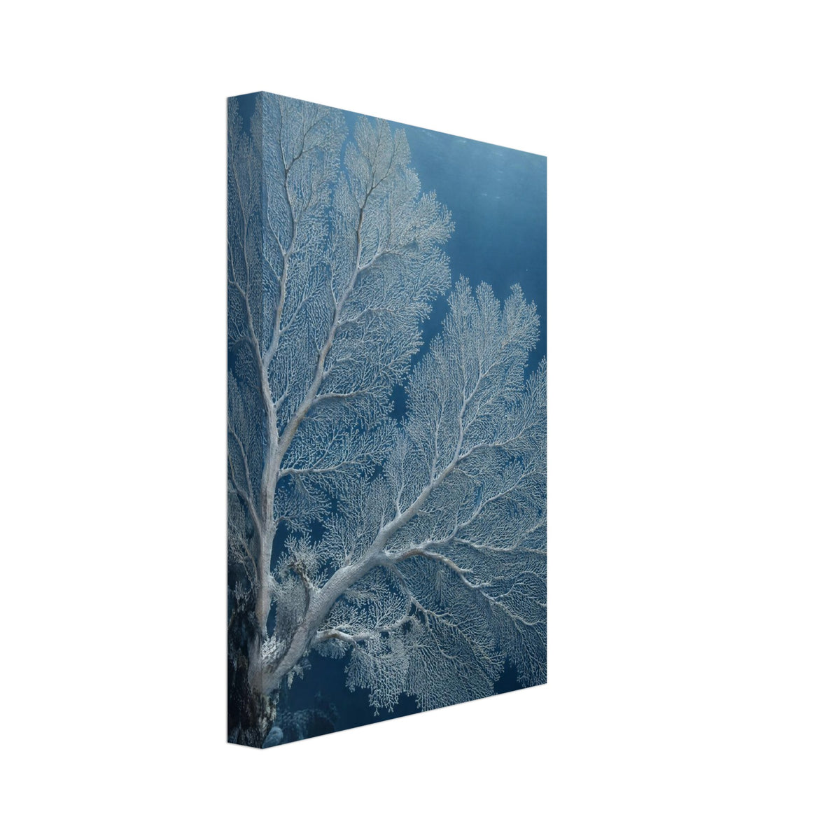 Pale sea fan coral branching across deep blue water above a rocky reef, with sunlight filtering through the surface.