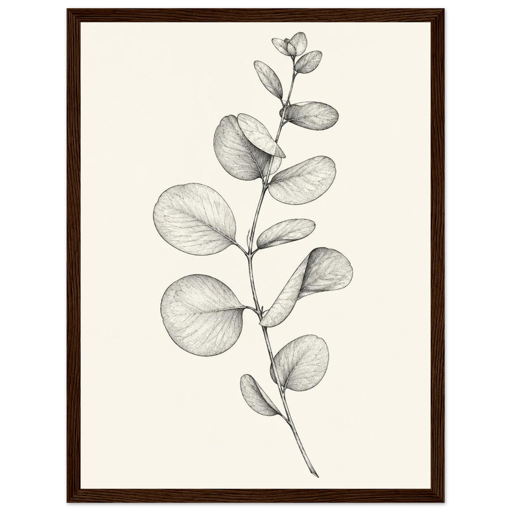 Eucalyptus stem with rounded leaves, fine veins and shaded folds drawn in black and grey on a cream background.