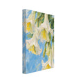 White trumpet-shaped flowers with yellow centres and droplets, surrounded by green leaves on a brushy blue background.