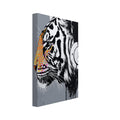 tiger art print for the living room, soft painterly artwork on matte paper