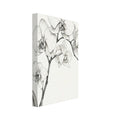 Orchid flowers and buds on branching stems with long curved leaves, drawn in fine dark lines on an ivory background.