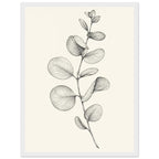 Eucalyptus stem with rounded leaves, fine veins and shaded folds drawn in black and grey on a cream background.