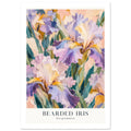 Bearded iris flowers in lilac and cream with green leaves, a peach background and botanical name lettering below.