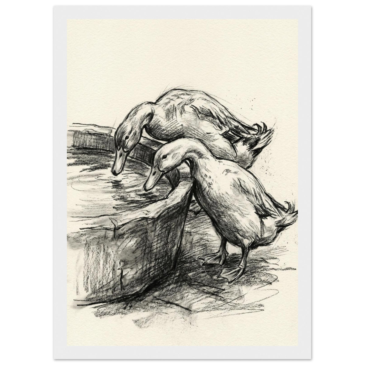 Ducks At The Trough Sketch Art Print – Framed