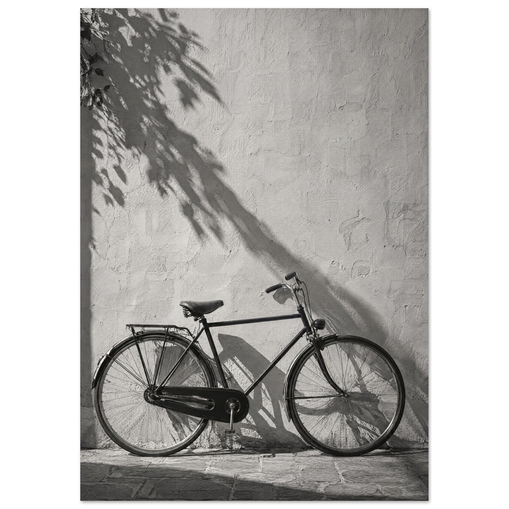 Bicycle leaning against a textured wall with long leafy shadows above and stone paving below, in black and white.