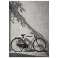 Bicycle leaning against a textured wall with long leafy shadows above and stone paving below, in black and white.