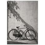 Bicycle leaning against a textured wall with long leafy shadows above and stone paving below, in black and white.
