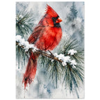 Watercolour red cardinal bird perched on a snow-covered pine branch