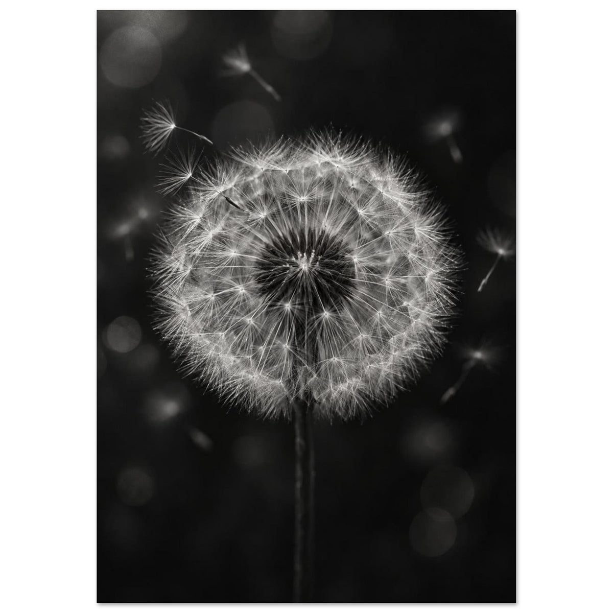Original Abstract Composition in Soft Light III Art Print