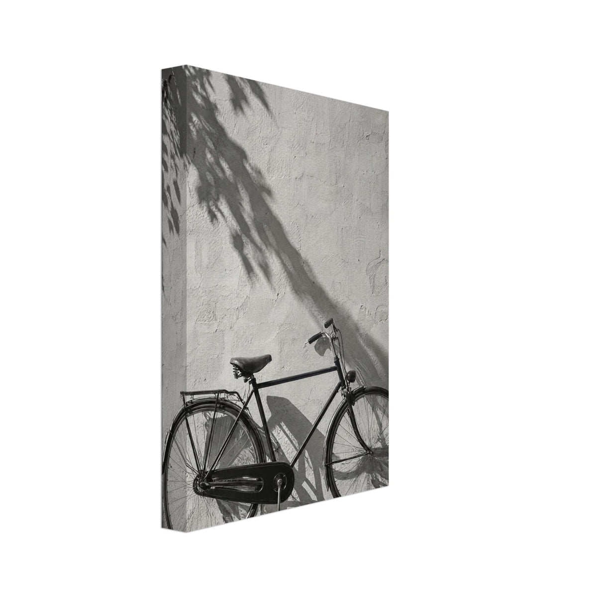 Bicycle leaning against a textured wall with long leafy shadows above and stone paving below, in black and white.