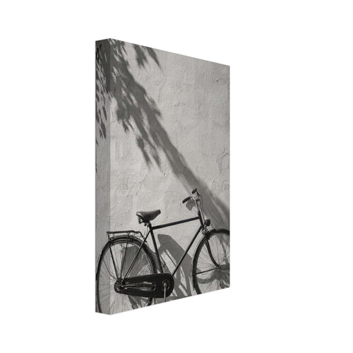 Bicycle leaning against a textured wall with long leafy shadows above and stone paving below, in black and white.