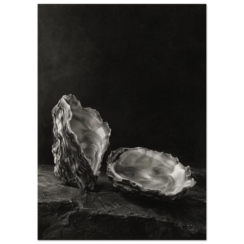 Oyster Light, two open oyster shells on dark slate with pale interiors and sharply lit ridges beneath a broad area of shadow.