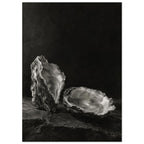 Oyster Light, two open oyster shells on dark slate with pale interiors and sharply lit ridges beneath a broad area of shadow.