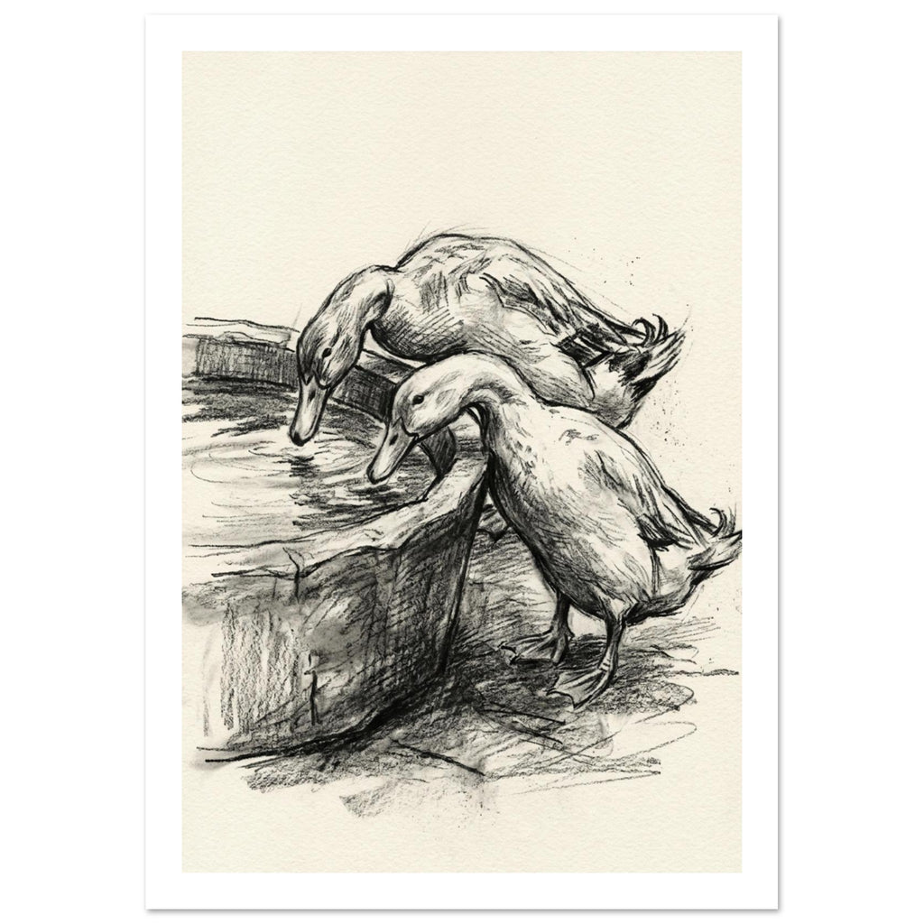 Two ducks leaning towards water in a rounded trough, drawn with dark sketch lines and shading on a cream background.