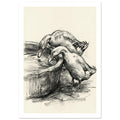 Two ducks leaning towards water in a rounded trough, drawn with dark sketch lines and shading on a cream background.