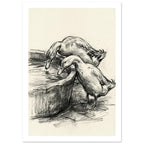 Two ducks leaning towards water in a rounded trough, drawn with dark sketch lines and shading on a cream background.