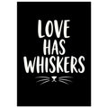 Love Has Whiskers in tall white brush-style lettering on black, with a simple cat nose and whiskers below.