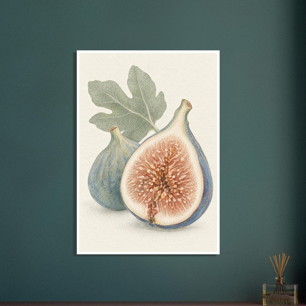 Halved fig with a terracotta centre beside a whole blue-green fig and green leaf, drawn in fine dots on cream.