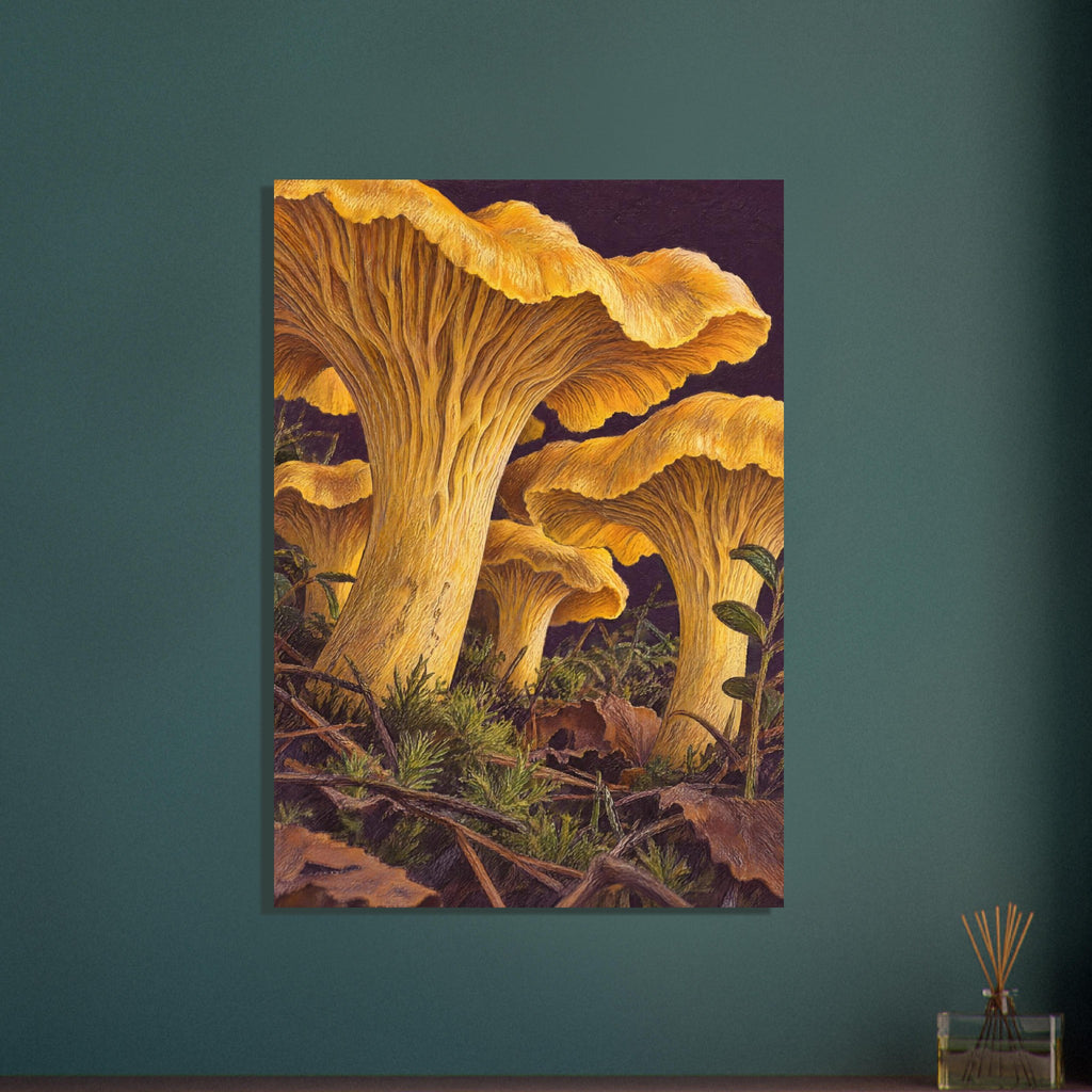 Golden chanterelle mushrooms seen from below, with ridged undersides above moss, twigs and brown leaves.