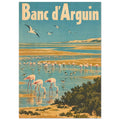 Banc d’Arguin Flamingo Vintage Travel – illustration wall art print by Printavelle – close-up