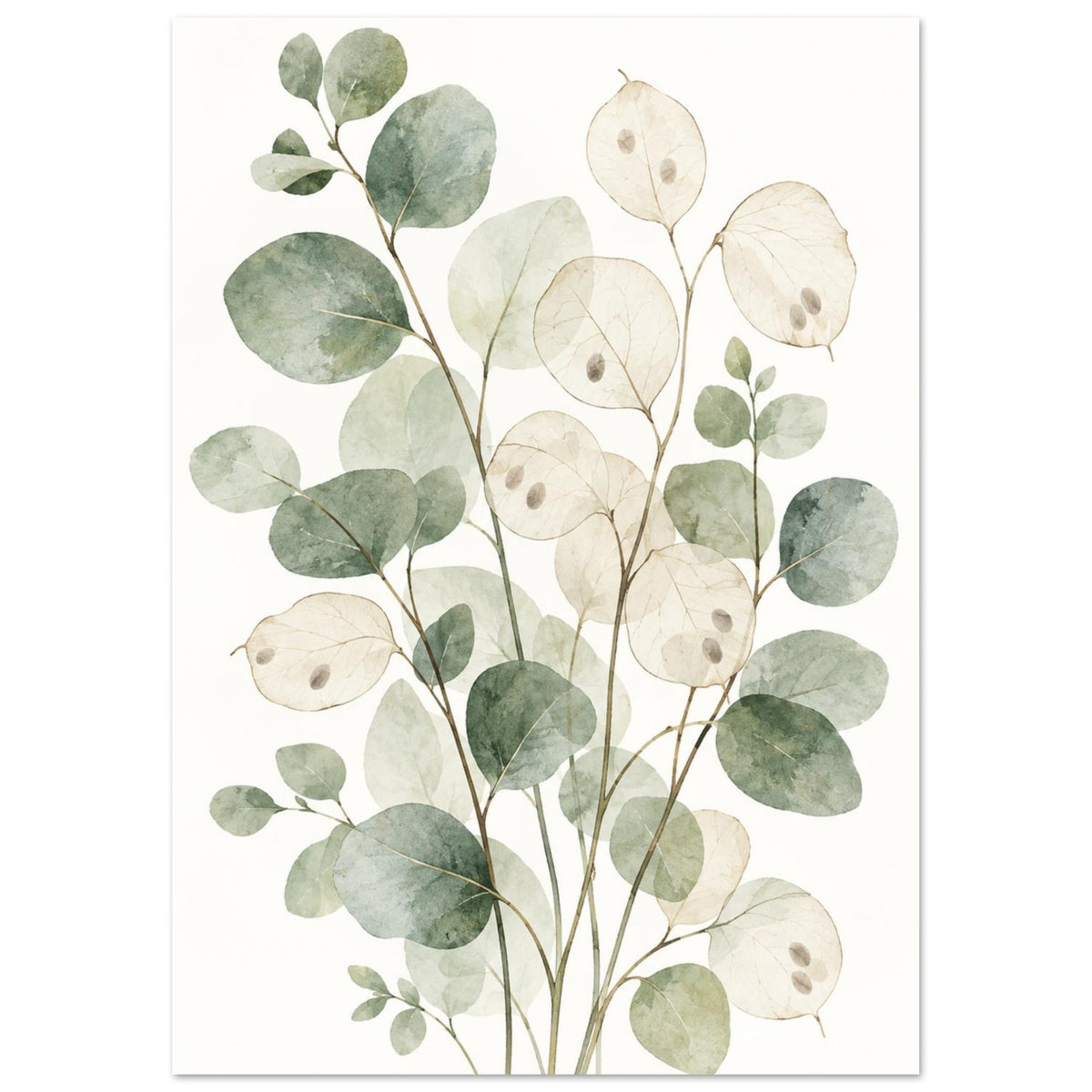 Eucalyptus branches with rounded sage green leaves and translucent cream honesty seed pods against a white background.