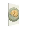 Golden puppy sleeping curled up on a round sage-green cushion against a textured cream background.