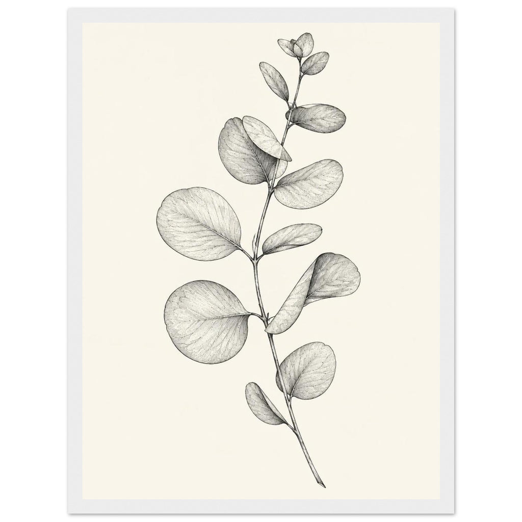 Eucalyptus stem with rounded, overlapping leaves drawn in fine black and grey lines on a plain cream background.