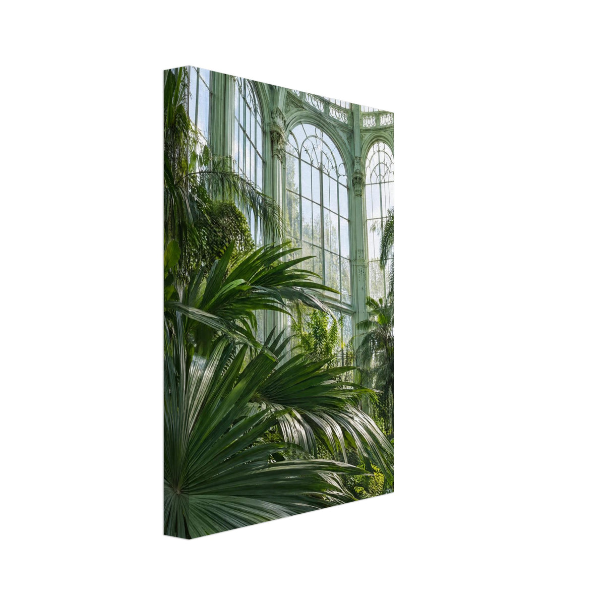 Lush palm fronds beneath tall arched windows and an ornate, pale green metal and glass roof in a sunlit glasshouse.