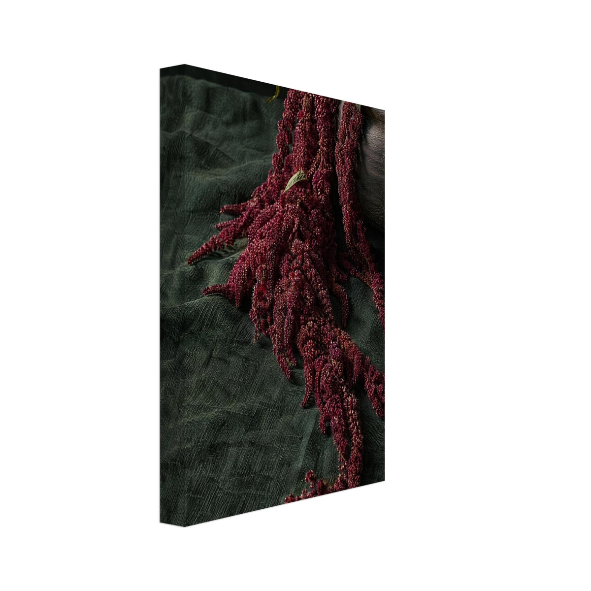 Burgundy amaranth flowers cascade from a dark pot across textured deep green fabric, with green leaves above.