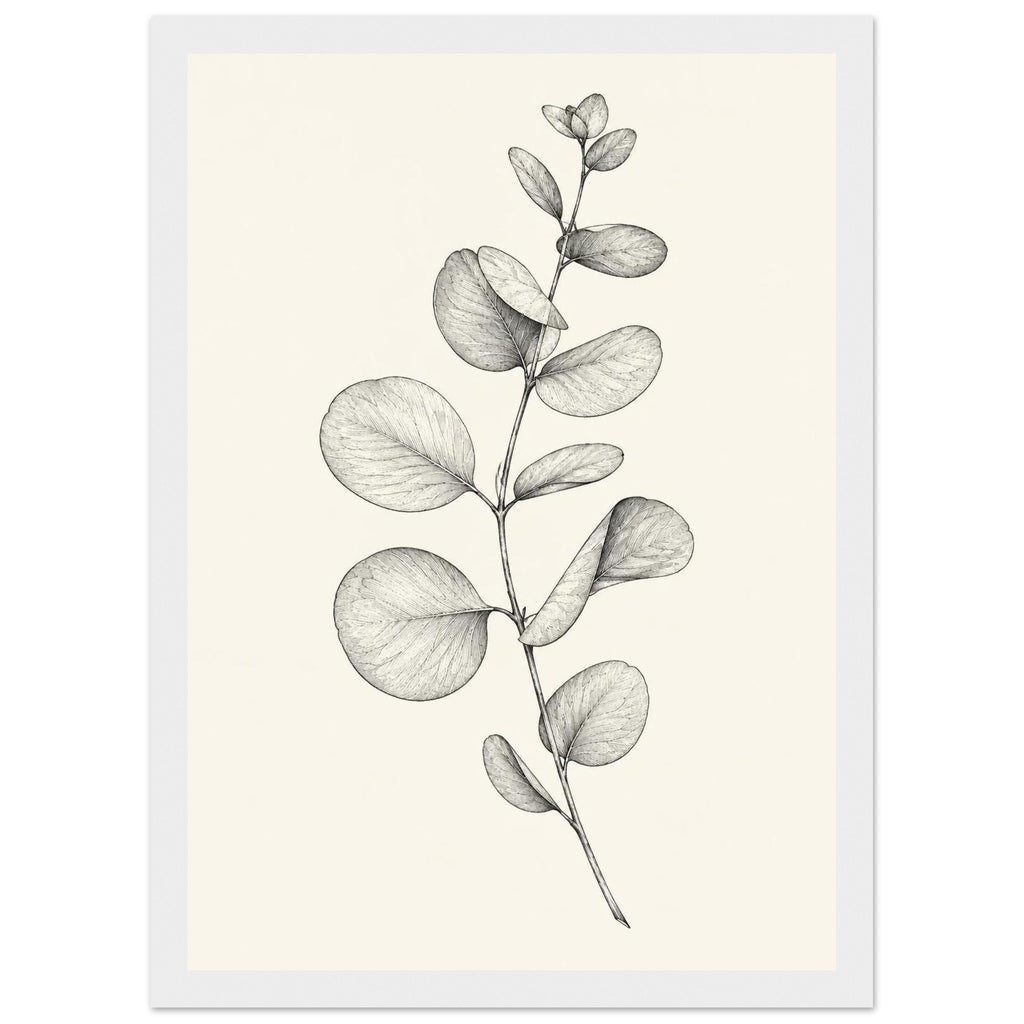 Eucalyptus stem with rounded leaves, fine veins and shaded folds drawn in black and grey on a cream background.