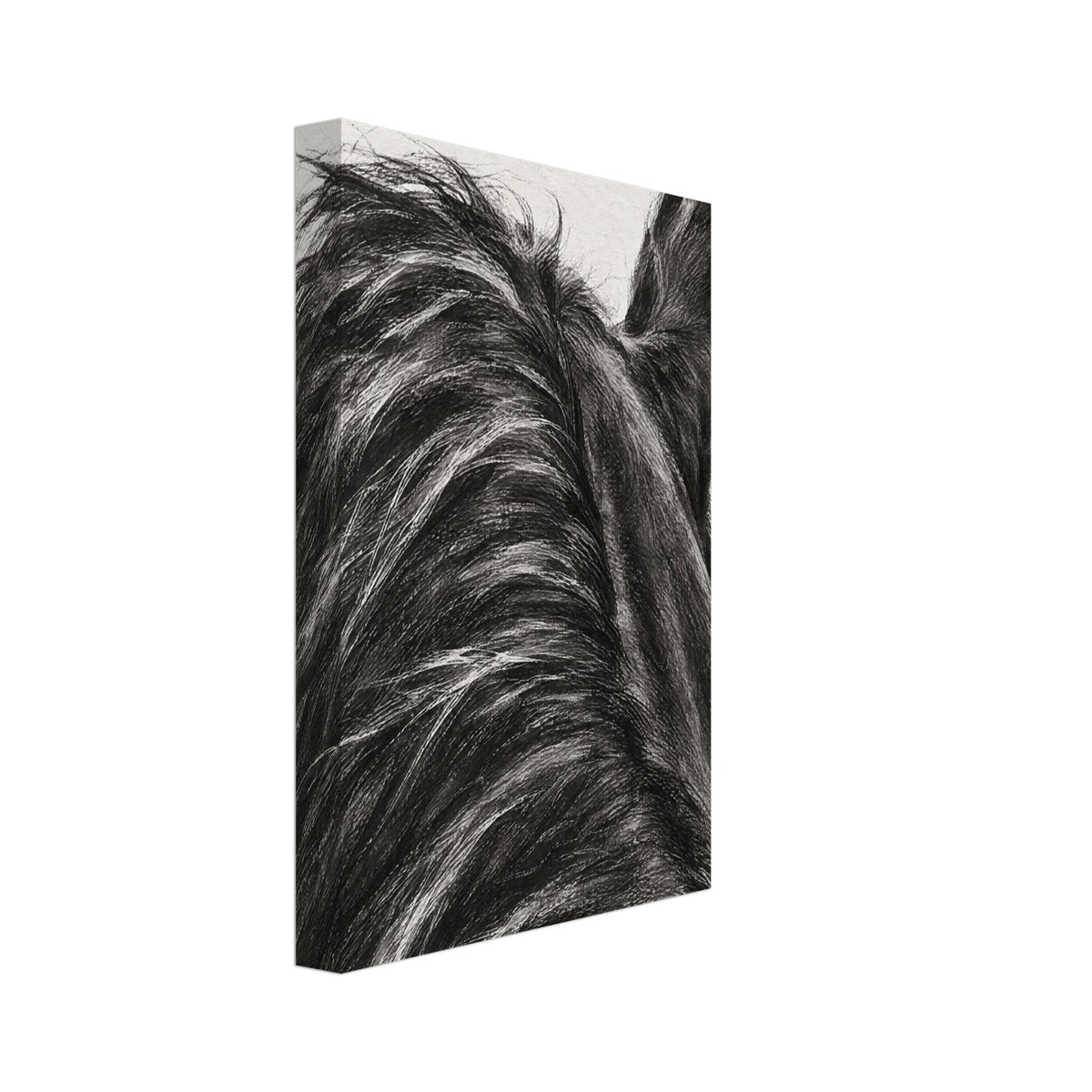 Hästens nacke – Canvas