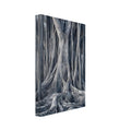 Banyan tree with intertwined trunks, hanging aerial roots and thick spreading roots in muted blue-grey tones.