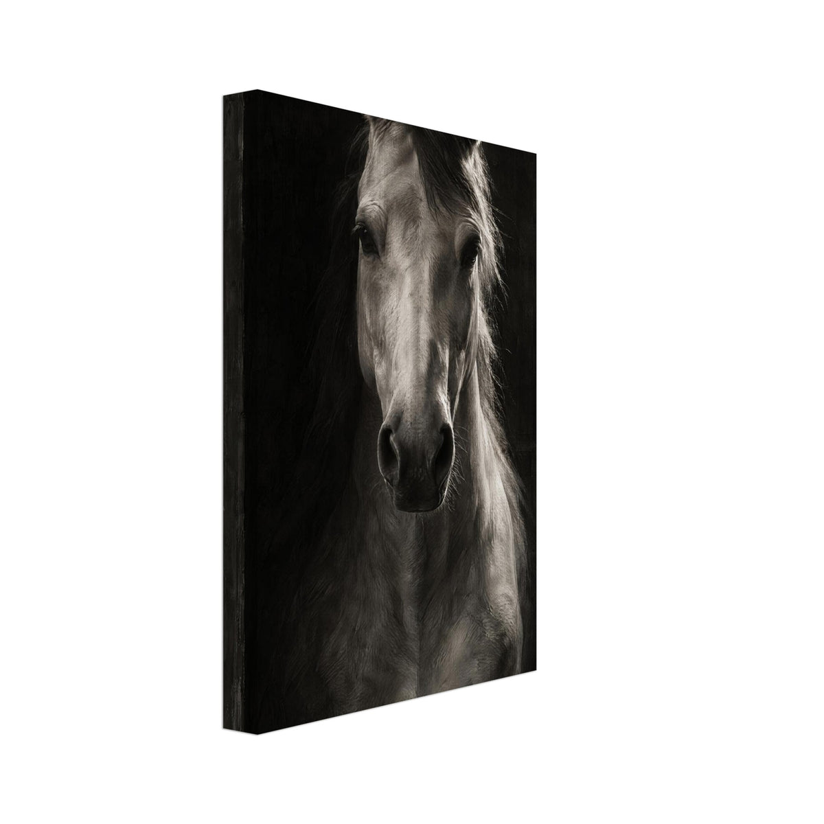 Horse in Half-Light, a frontal horse portrait emerging from a dark doorway with light tracing one ear and its mane.