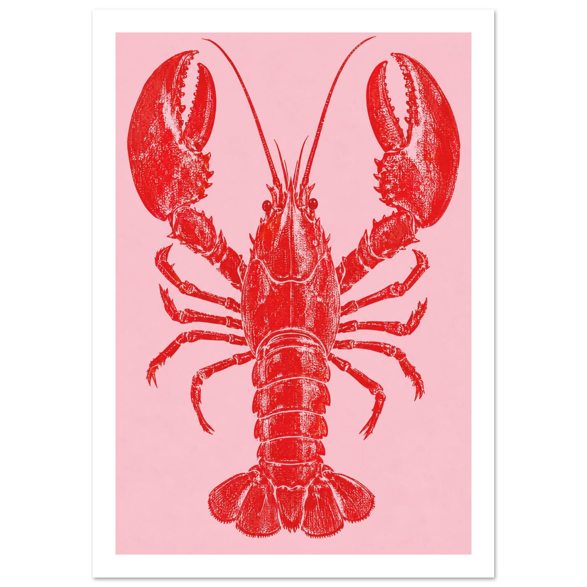 Red lobster with large raised claws, long antennae and a textured shell on a plain pink background.