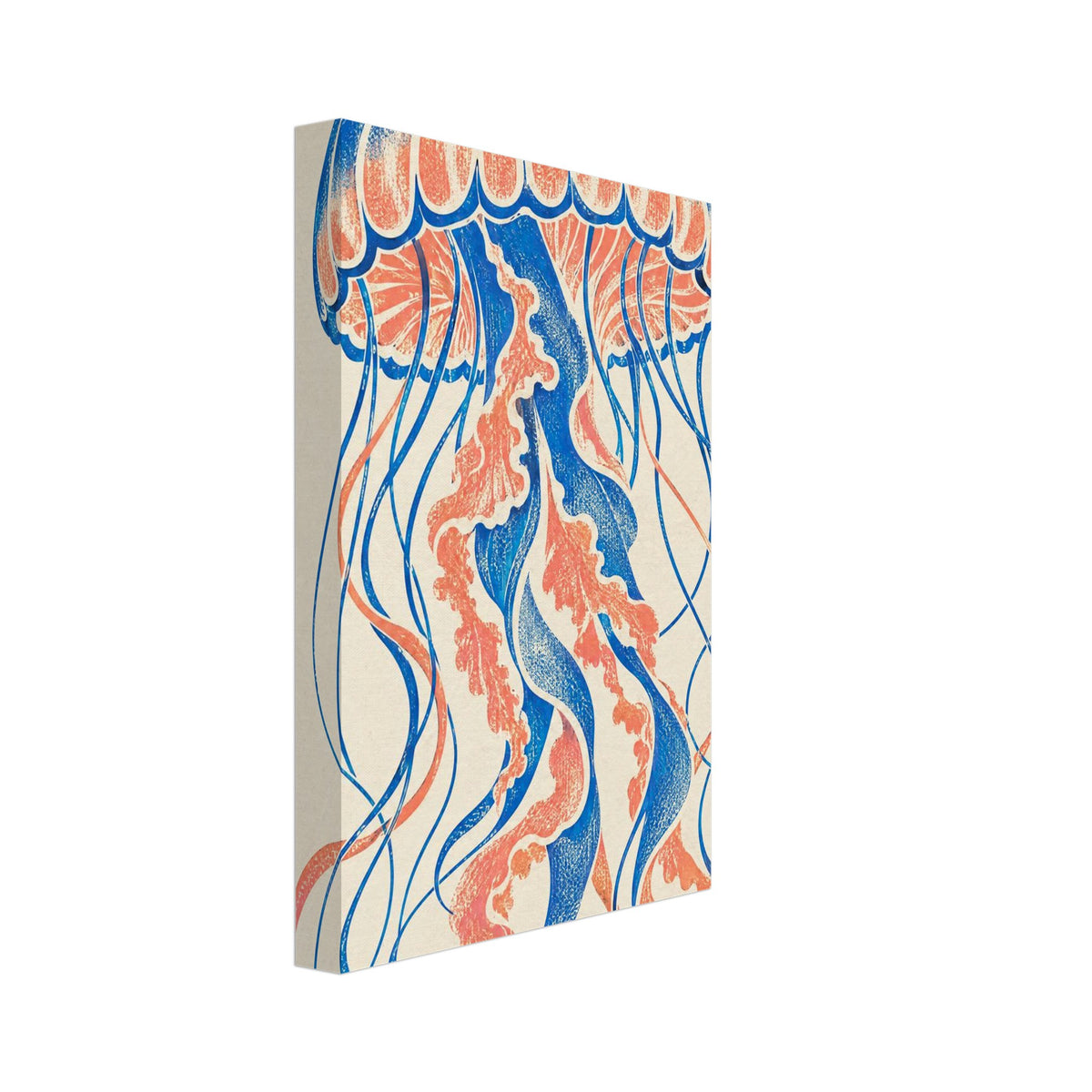 Jellyfish with a blue and coral scalloped bell and long curling tentacles on a textured cream background.