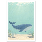 Blue whale swimming through pale aqua water above a sandy seabed with rocks and sea plants, beneath sunlit ripples.