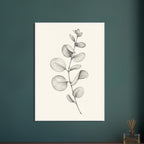 Eucalyptus stem with rounded leaves, fine veins and shaded folds drawn in black and grey on a cream background.