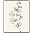 Eucalyptus stem with rounded leaves, fine veins and shaded folds drawn in black and grey on a cream background.