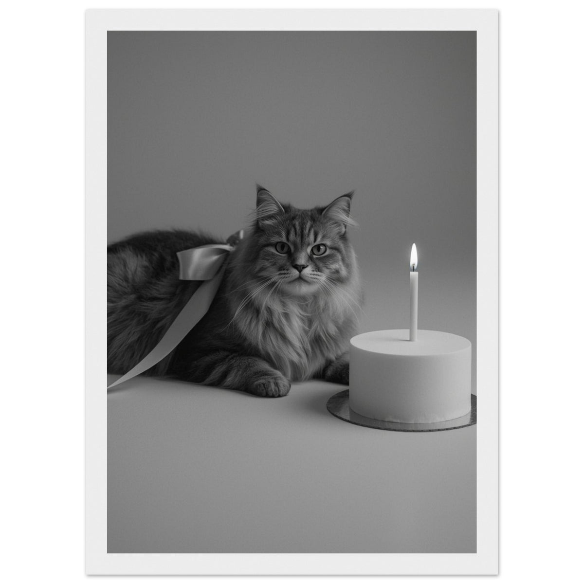 Cat in Soft Light Art Print – Framed