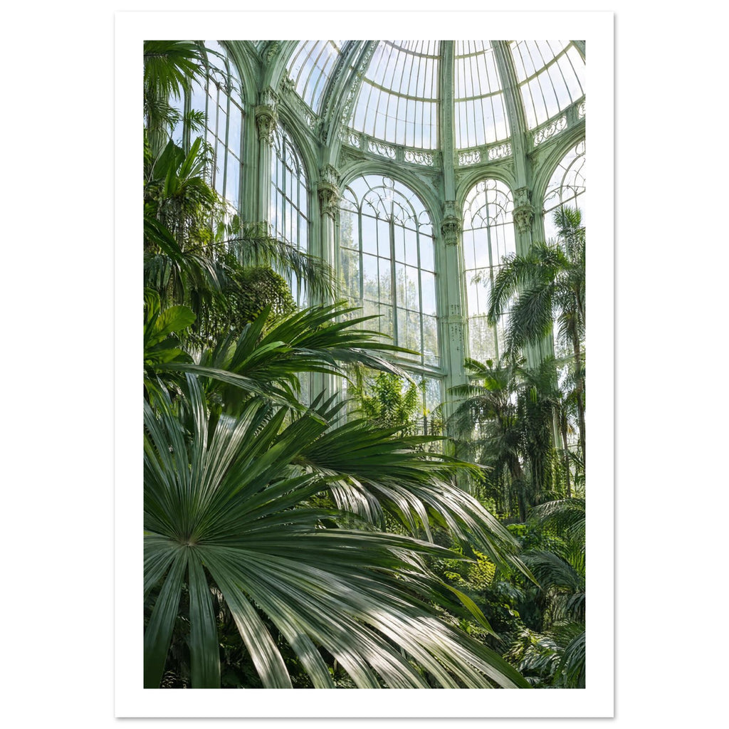 Lush palm fronds beneath tall arched windows and an ornate, pale green metal and glass roof in a sunlit glasshouse.