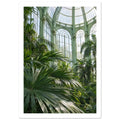Lush palm fronds beneath tall arched windows and an ornate, pale green metal and glass roof in a sunlit glasshouse.