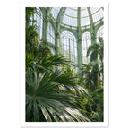 Lush palm fronds beneath tall arched windows and an ornate, pale green metal and glass roof in a sunlit glasshouse.