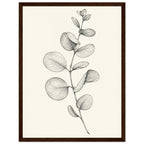 Eucalyptus stem with rounded, overlapping leaves drawn in fine black and grey lines on a plain cream background.