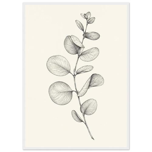 Eucalyptus stem with rounded leaves, fine veins and shaded folds drawn in black and grey on a cream background.