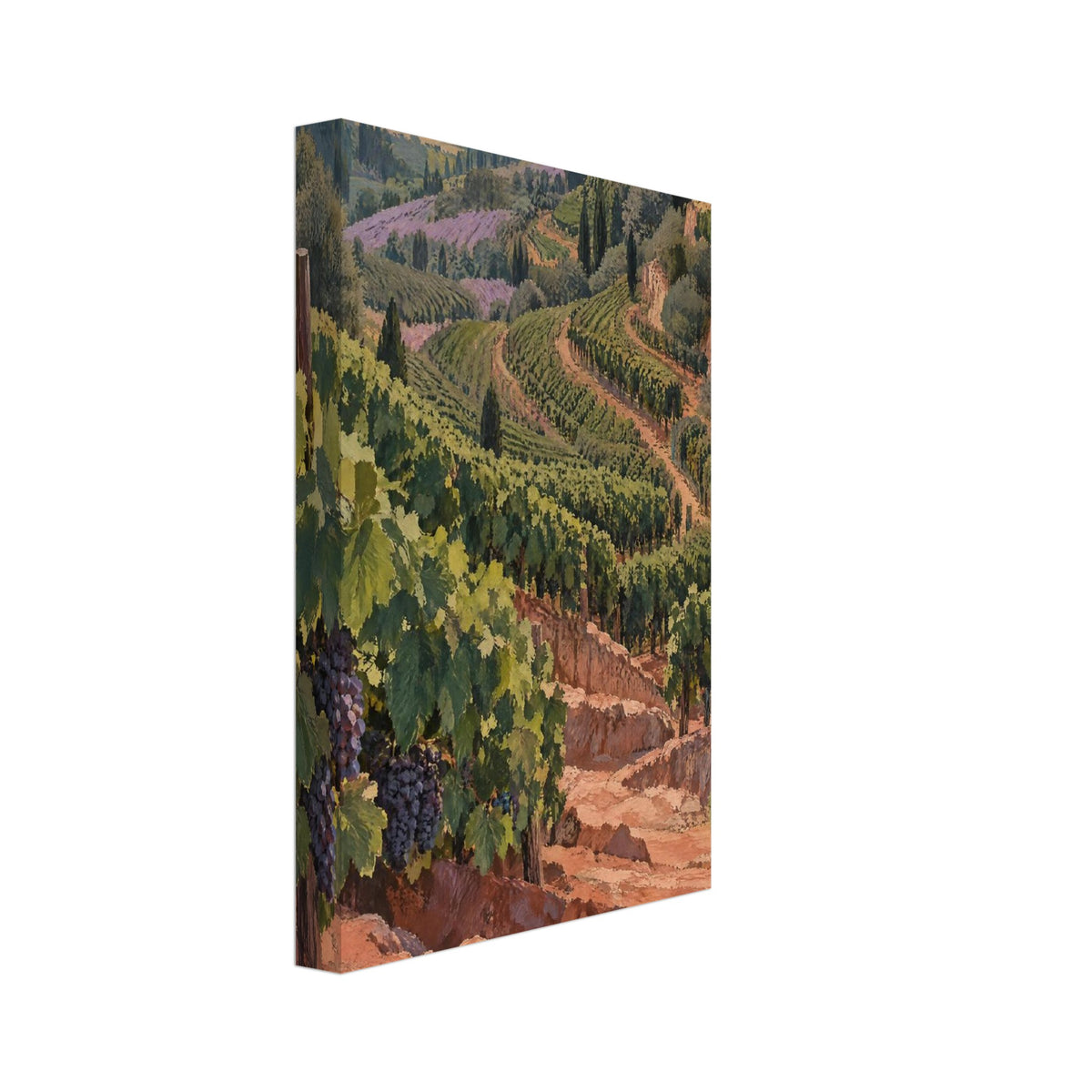 Terraced Vineyard Landscape Art Print – Canvas